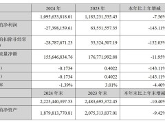何氏眼科2024年由盈转亏 多项业务收入下滑