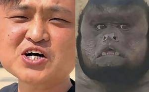 网红“狗王”探访合肥“丑猴”，自曝要教“它”说话引热议