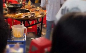 猫咪天降火锅店后不幸离世，商家善举与社会反思并行