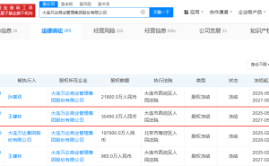 王健林股权再遭冻结，名下多家企业股权已被锁定