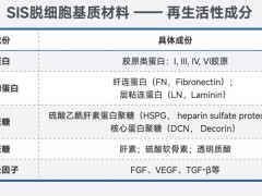 白衣缘生物获数千万元融资，加速ECM材料在医疗与医美领域布局