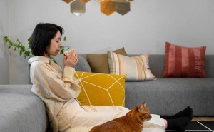 猫咪最爱的八大气味，让你轻松成为喵星人的“香饽饽”！