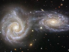 宇宙深处的“伤痕”星系：NGC 3640的吞噬历史与邻居的逃脱之谜