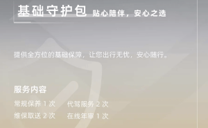 极石01车型新推用车服务包，涵盖保养、修复、轮胎更换等一站式服务