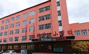 2025哈尔滨小学入学门槛解析：学区房依旧关键，哪些变化需注意？