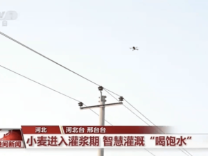 小麦灌浆期用电无忧！国家电网无人机+数字化设备全力护航灌溉