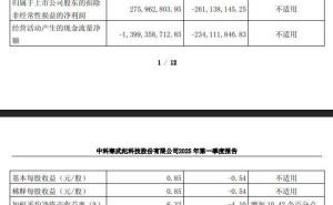 寒武纪2025年加码研发，一季度已实现扭亏为盈