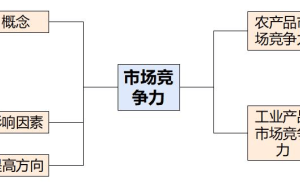 市场竞争力解析：高考地理视角下的产品与产业竞争力提升策略