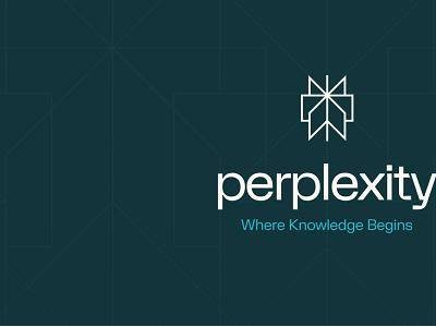 Perplexity AI 新融资曝光：140亿估值拟筹5亿，苹果合作引遐想