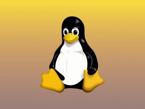 Linux 6.15 RC6出炉：驱动优化、网络提速、文件系统再升级