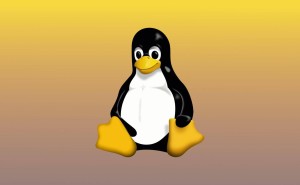 Linux 6.15 RC6出炉：驱动优化、网络提速、文件系统再升级