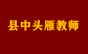 “头雁计划”领航，县域教育能否迎来春天？