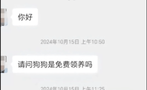 沈阳一超市疑借领养烹食流浪狗，市监局介入调查
