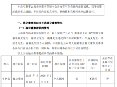 ST景谷困境重重：独立董事集体上任三月即辞，何因？