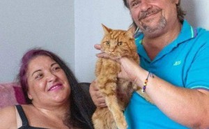 橘猫徒步40英里回家，却在家门口徘徊，背后故事让人泪目！