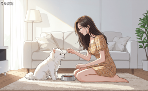 狗狗偶尔偷吃猫粮无大碍？长期风险不可不防！