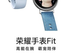 荣耀手表Fit来袭：5色可选，萌宠表盘让健康监测更有趣！