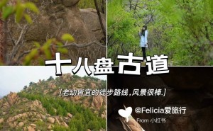 北京密云秘境探索！两天一夜，云峰山树屋与天文台观星之旅