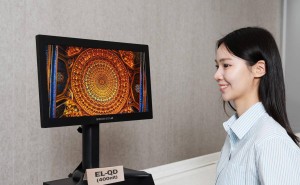 三星SID 2025大秀科技实力：无镉量子点、5000PPI OLEDoS惊艳亮相！