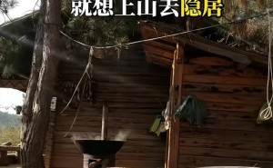 母爱成枷锁？40岁儿子深山隐居，家中狗狗也难逃抑郁阴霾