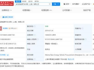 威马系企业债务风暴升级，新能源汽车采购公司面临破产审查