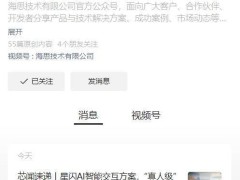 海思WS63打造业界新星！首款商用星闪AI智能语音模组重塑交互体验
