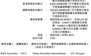 宁德时代港股定价263港元，或创2025年全球最大IPO纪录