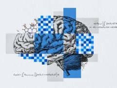 Meta重磅！OMol25数据集与UMA模型引领化学研究新篇章