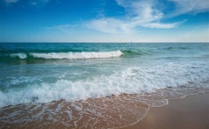 海大教授团队突破！电化学双极提铀技术引领核能资源开发新篇章