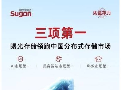 曙光存储领跑分布式存储市场，AI与教育领域再夺冠！
