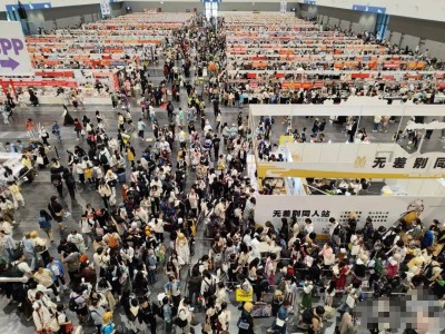 O展崛起，二次元經(jīng)濟(jì)新熱潮還是短暫狂歡？