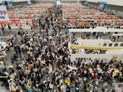 O展崛起，二次元经济新热潮还是短暂狂欢？