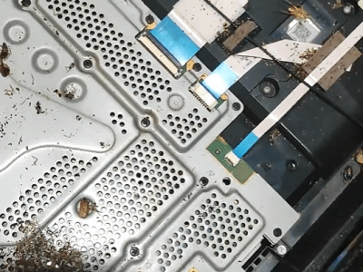 PS4拆机惊现蟑螂窝，网友直呼：这谁顶得住啊！