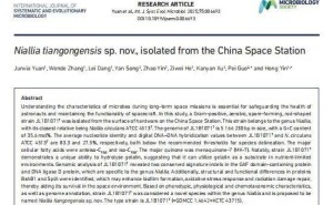 中国空间站内发现微生物新物种首次公布，命名“天宫尼尔菌”