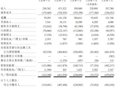 圣贝拉集团备战港股上市，半年营收3.58亿，腾讯高榕资本加持
