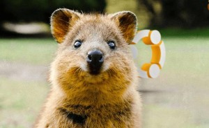 Ubuntu 25.10新动向：GNOME 49登场，Wayland体验将迎大升级