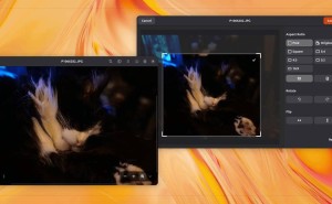 Ubuntu 25.10大变身：Loupe与Ptyxis将成新默认应用