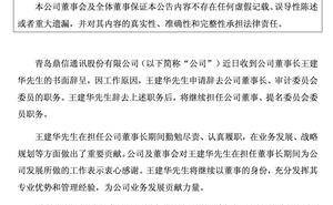 鼎信通讯董事长王建华辞任，前妻获分超3亿股份引关注