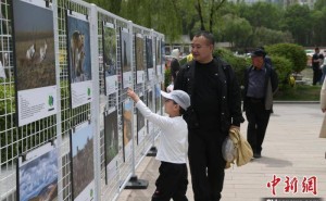 西宁人民公园：野生动物影像展，近千幅佳作带你领略自然之美！