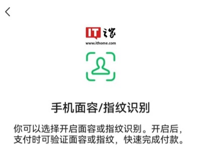 微信鴻蒙版人臉指紋支付慢啟，安全考量下的謹(jǐn)慎步伐