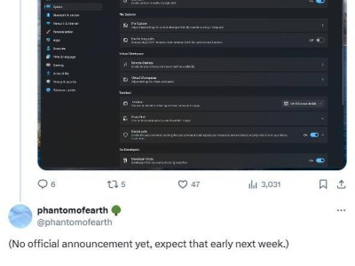 Win11 Dev/Beta版新增“高级设置”，ViVeTool助你提前体验！