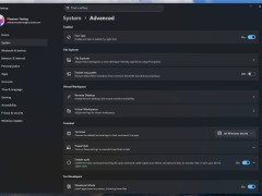Windows 11“高級(jí)設(shè)置”新功能解鎖教程來了！