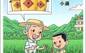 小满节气：麦粒渐满待丰收，麦秋将至话夏收