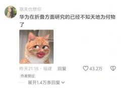 鸿蒙PC崛起，华为能否挑战微软PC时代霸主地位？