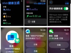 vivo健康互联App登陆Apple Watch，实现跨设备数据无缝同步