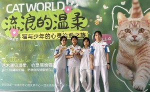 猫绘心灵，少年共愈：一场特别的流浪猫艺术展