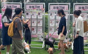 宠物也相亲？武汉商场“宠物相亲角”走红，主人定制简历为爱宠寻伴侣