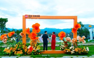 南澳520公益婚拍：以爱之名，见证甜蜜时刻！