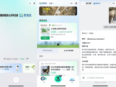 腾讯“野朋友计划”上线：手机镜头成自然探索神器，AI物种识别来了！