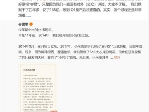 小米造芯之路：四年耗资135亿，林斌坦言历程曲折